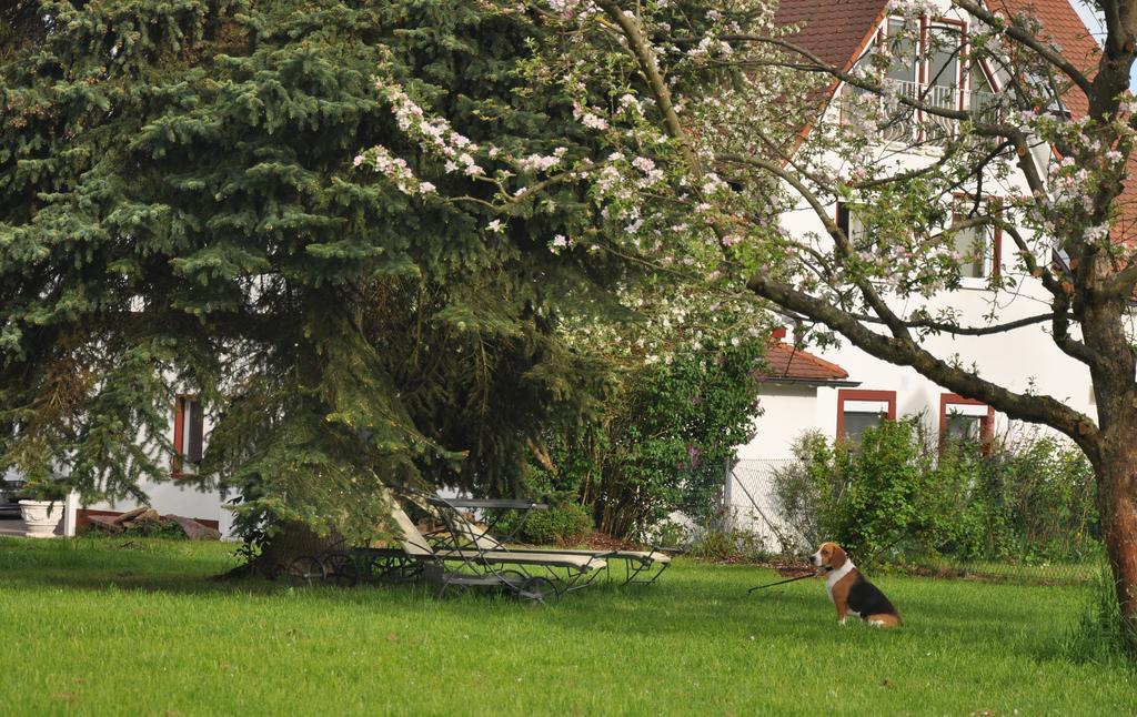 Haeuser Der Villa Italia Marktheidenfeld Extérieur photo